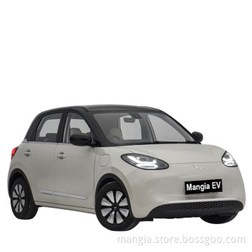 New car for sale Macaron color adult electric car 2023 new electric car Wuling bingo EV compact and cute
